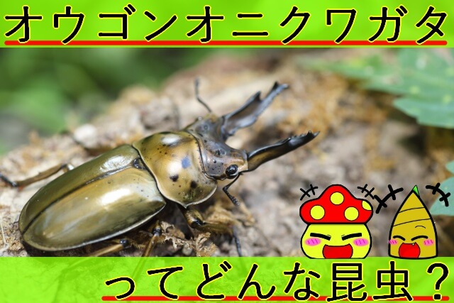 Thumbnail of post image 016